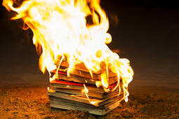 thumbnail of burning books.jpg