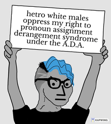 thumbnail of white males oppress my right to pronoun assignment derangement syndrome under the A.D.A..jpeg