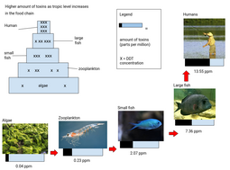 thumbnail of Biomagnification is the build up of toxins in a food chain.png