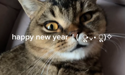 thumbnail of happiest new year.mp4