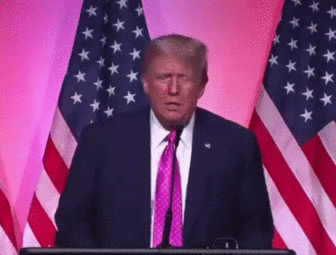 thumbnail of spaz.gif