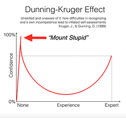 thumbnail of mount stupid.webp