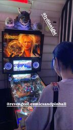 thumbnail of labyrinth pinball.jpg