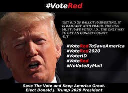 thumbnail of vote-trump.jpg