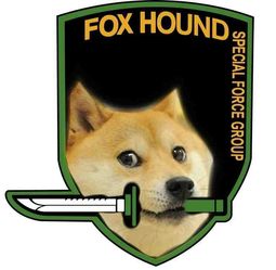 thumbnail of FOXHOUND.jpg