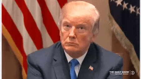 thumbnail of giphy (2).gif