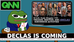 thumbnail of QNN DECLAS IS COMING.PNG