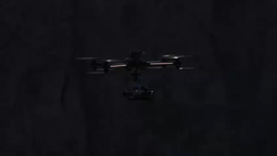 thumbnail of 5335252.mp4