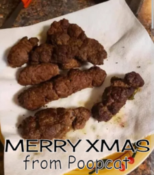 thumbnail of Xmas Dinner [02].png