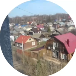 thumbnail of 2891.mp4