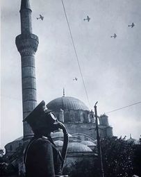 thumbnail of Türkiye Fallout.jpg