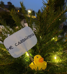 thumbnail of image_2024-12-29_233327724.png