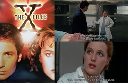 thumbnail of the_x_files_scully_1.jpg