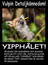 thumbnail of Yipphålet-2.jpg