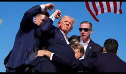 thumbnail of triumphant trump 2.jpg