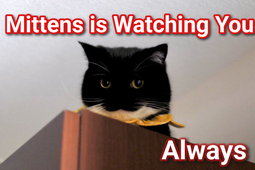 thumbnail of mittens is watching.png