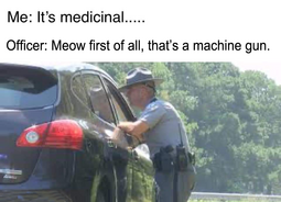 thumbnail of Medicinal_Machine_Gun_Meow_Trooper.png