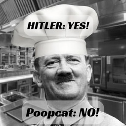 thumbnail of Hitler Poopcat.jpg