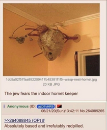 thumbnail of The Jew fears the indoor hornet keeper.png
