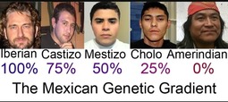 thumbnail of Mexican Phenotypes