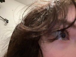 thumbnail of camphoto_126398554.jpg
