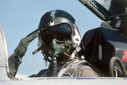 thumbnail of Tomcat F14.jpeg