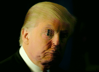 thumbnail of dt.gif