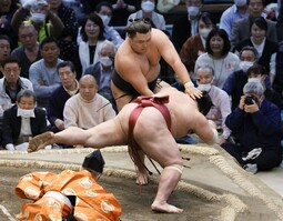 thumbnail of Kiribayama-vs-Daieisho.jpg