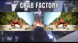 thumbnail of crab factory.mp4