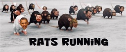 thumbnail of rats-running-x3.jpg