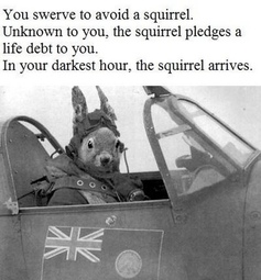 thumbnail of possum.jpeg