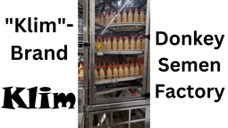 thumbnail of Klim Donkey Semen Factory.mp4