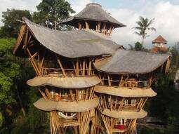 thumbnail of 00-promo-image-bamboo-sustainable-housing-material.jpg