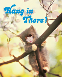 thumbnail of Hanginthere.png
