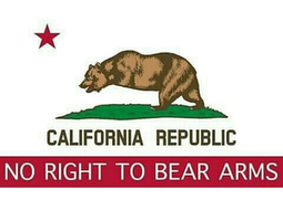 thumbnail of california-no-right-to-bear-arms.png