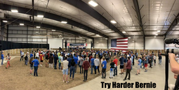 thumbnail of Try harder bernie.png