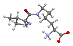 thumbnail of 1280px-Pyrrolysine-from-PDB-3D-bs-17.png