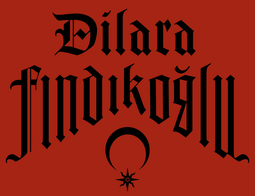thumbnail of dilara_findikolgu_logo.png