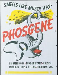 thumbnail of Phosgene_war gasesJPG.JPG