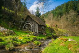 thumbnail of mill-black-forest-bach-water-wallpaper.jpg