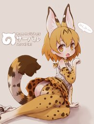 thumbnail of lolibooru 343390 eyebrows_visible_through_hair multicolored_legwear multicoloured_clothes multicoloured_gloves serval_(kemono_friends) translation_request.jpg