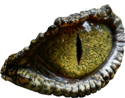 thumbnail of dinosaur-eye-transparent-background.png