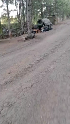 thumbnail of original(2).mp4