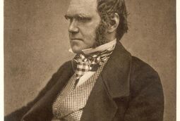 thumbnail of charles-darwin.jpg