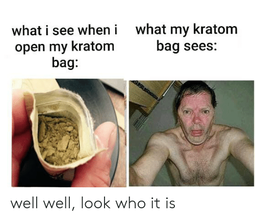 thumbnail of what-my-kratom-bag-sees-what-i-see-when-i-63145228.png