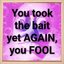 thumbnail of fool bait.jpg