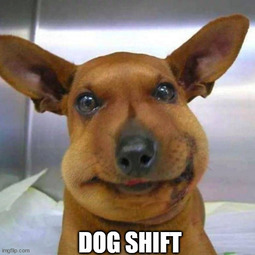 thumbnail of Dog Shift.jpg