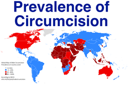 thumbnail of Circumcision-FEATURE.png