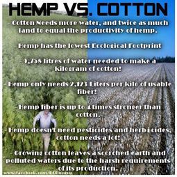thumbnail of Hemp vs Cotton (2).jpg