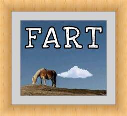 thumbnail of Fart.jpg